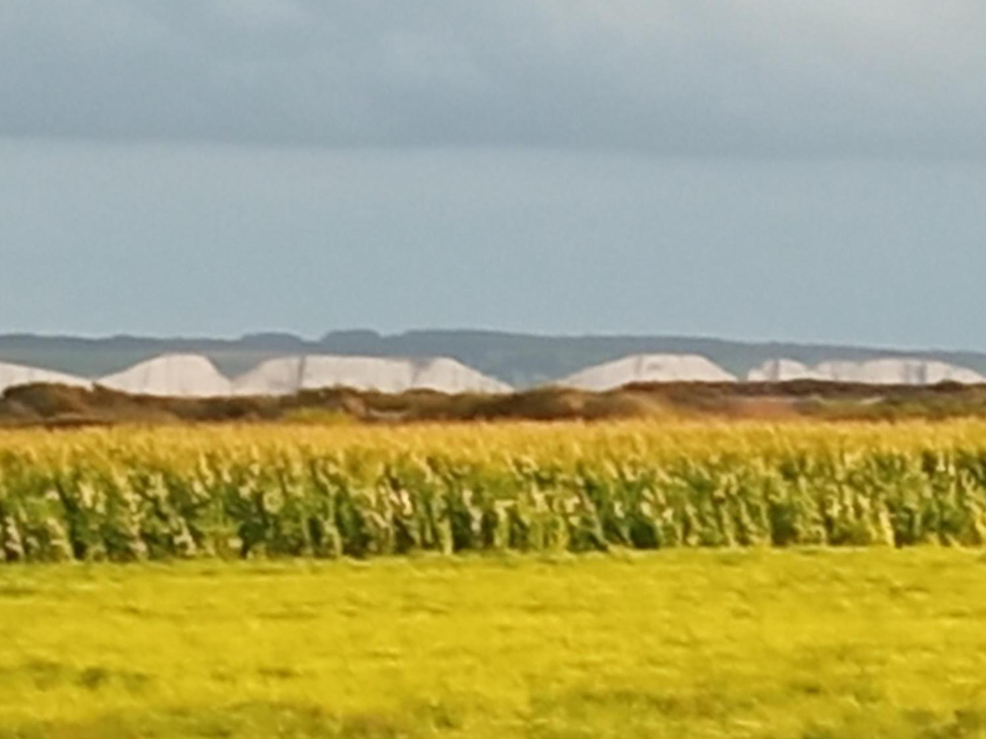Gite Repos Et Tranquillite G Cayeux-sur-Mer Eksteriør bilde